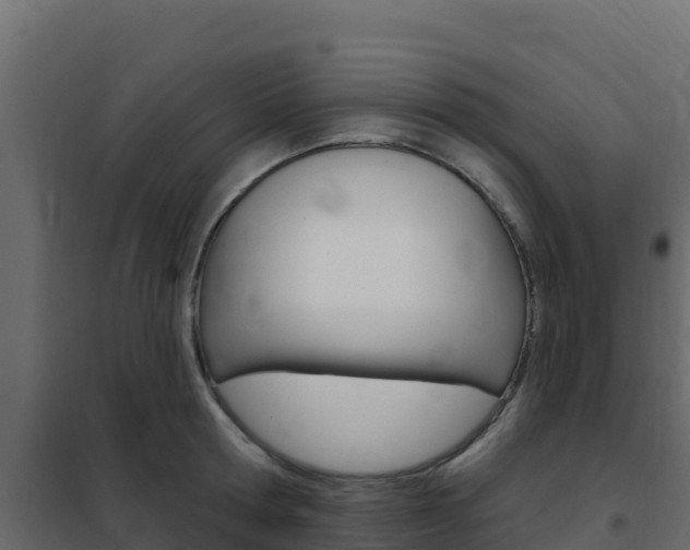 X0000102490802200808081055