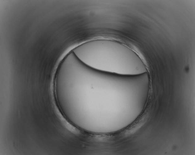 X0000102490803200808081055