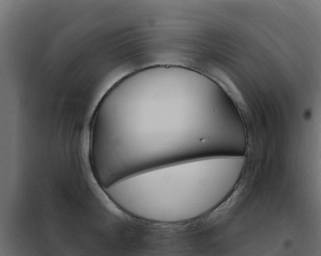 X0000102490804200808081055
