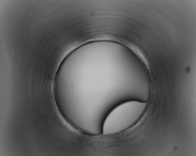 X0000102490805200808081055