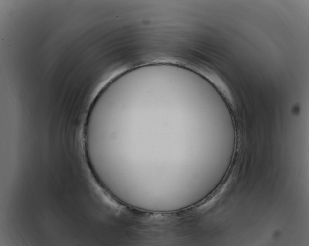 X0000102490806200808081055
