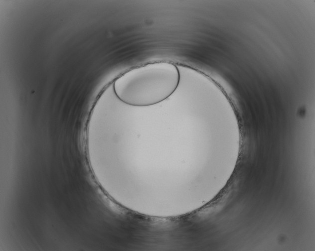X0000102490807200808081055