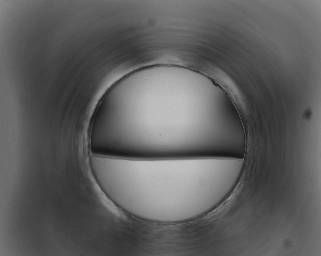X0000102490808200808081055