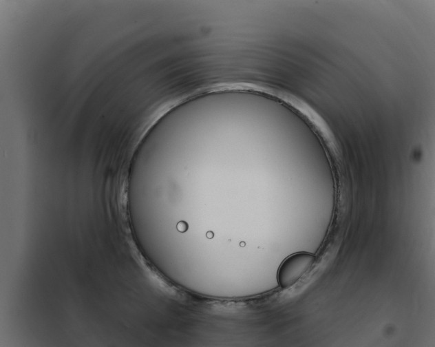 X0000102490809200808081055