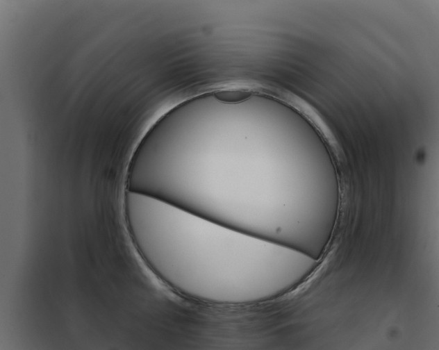 X0000102490810200808081055