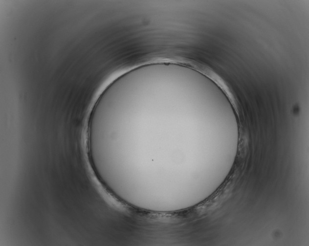 X0000102490811200808081055