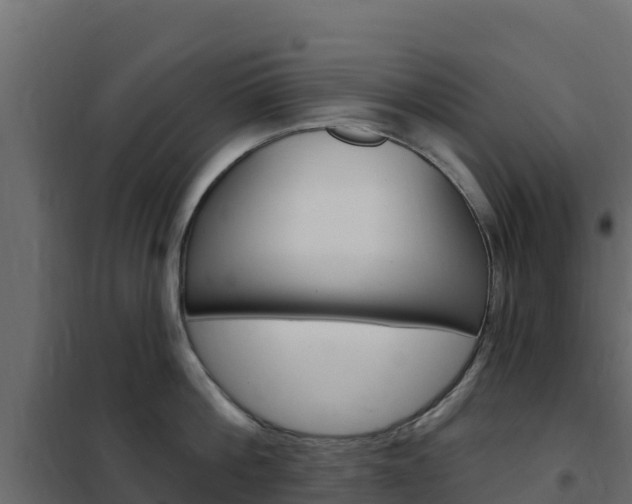 X0000102490812200808081055