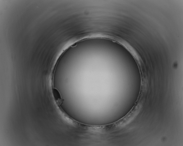 X0000102490813200808081054