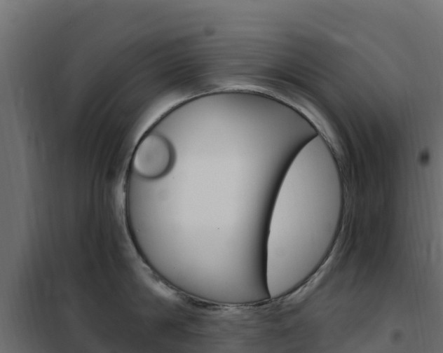 X0000102490814200808081054