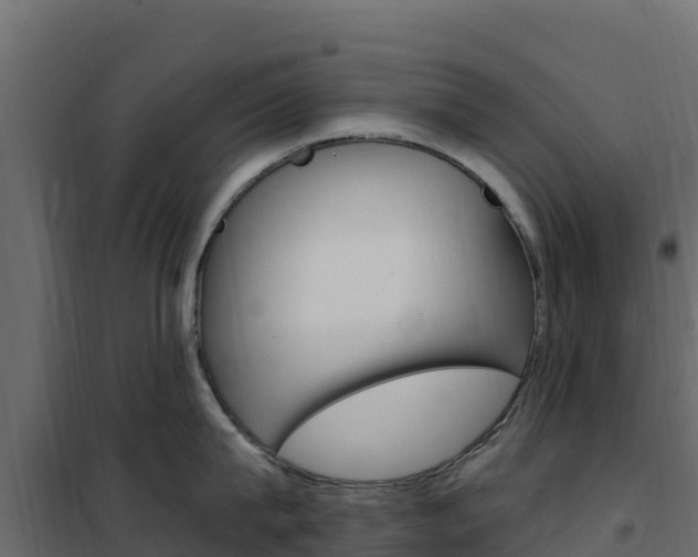 X0000102490815200808081054