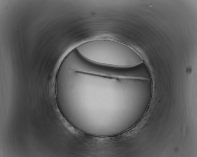 X0000102490816200808081054