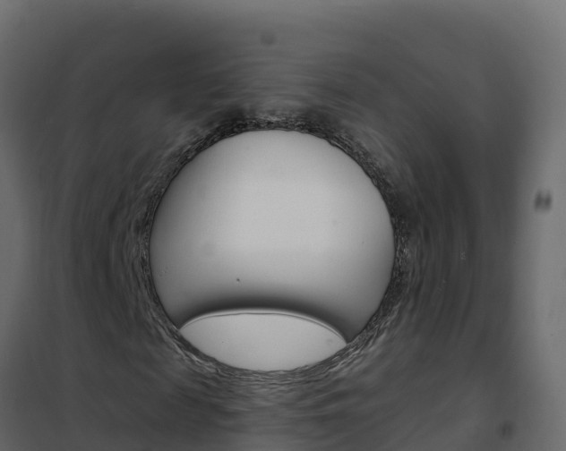 X0000102490817200808081054
