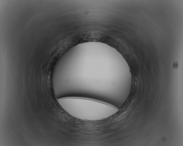 X0000102490818200808081054