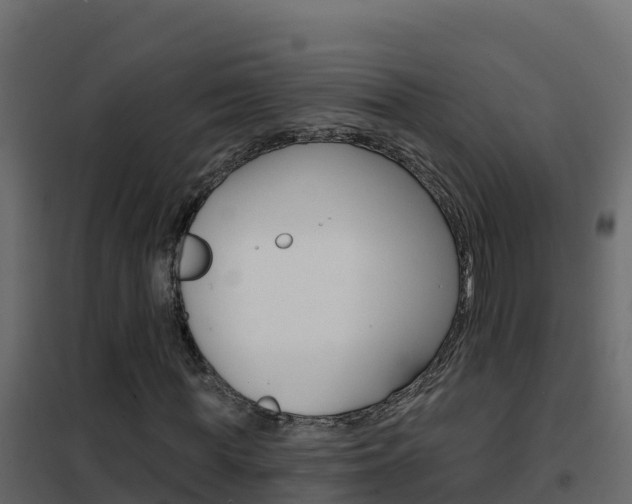X0000102490819200808081054