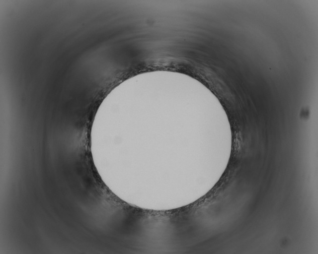 X0000102490820200808081054