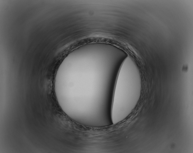 X0000102490821200808081054