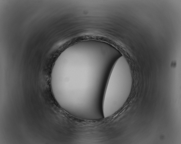 X0000102490822200808081054
