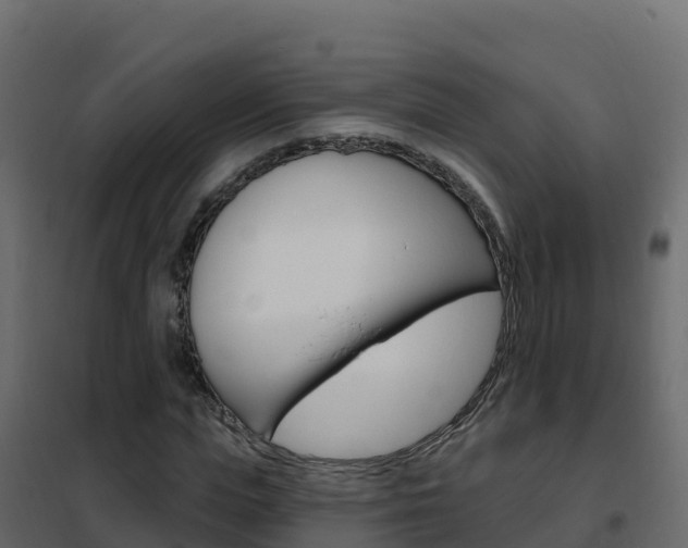 X0000102490823200808081054