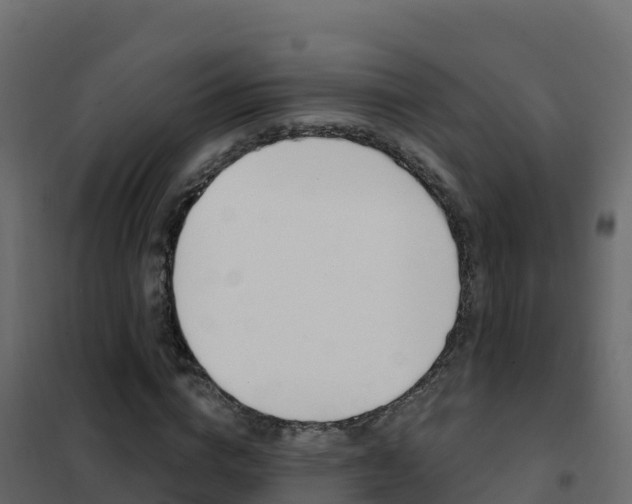 X0000102490824200808081054