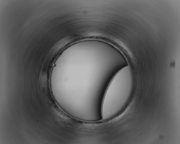 X0000102490825200808081054