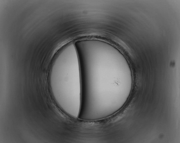 X0000102490826200808081054