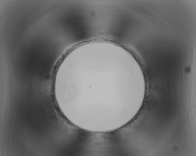 X0000102490828200808081054