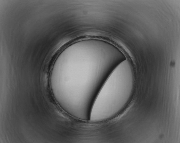 X0000102490829200808081054