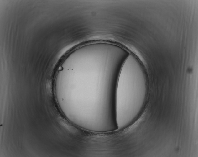 X0000102490830200808081054