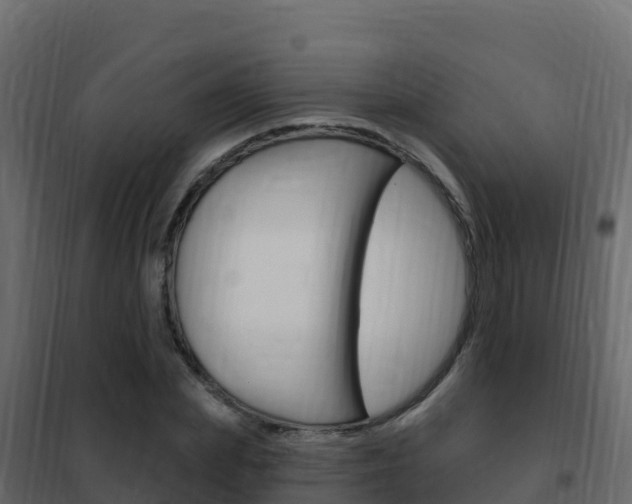 X0000102490831200808081054
