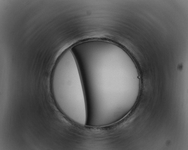 X0000102490834200808081054