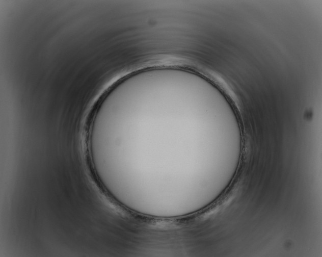 X0000102490835200808081054