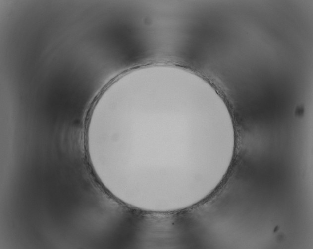 X0000102490836200808081054