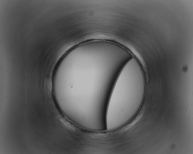 X0000102490837200808081054