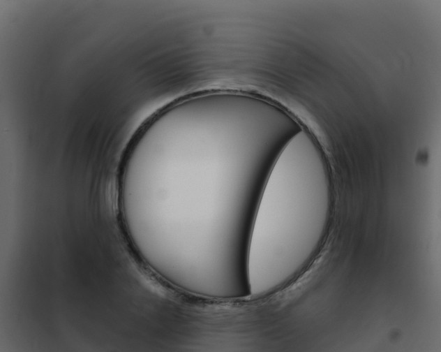X0000102490838200808081054
