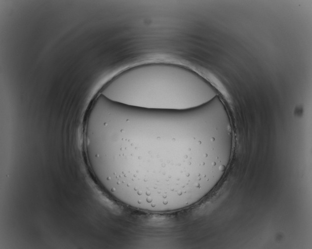 X0000102490839200808081054