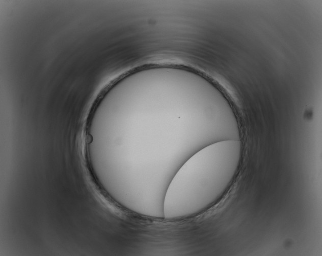 X0000102490840200808081054