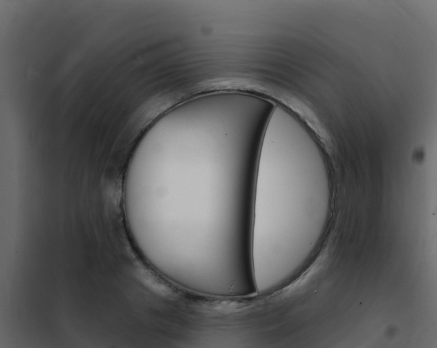 X0000102490841200808081054