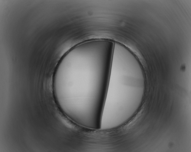 X0000102490842200808081054