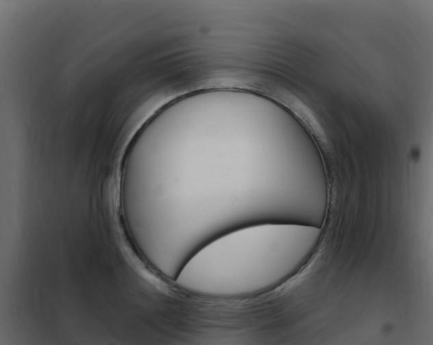 X0000102490844200808081054