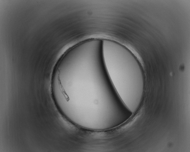 X0000102490845200808081054