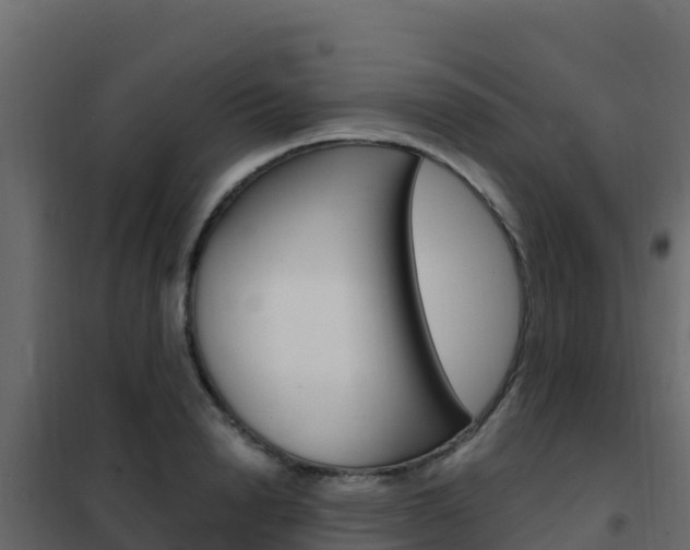 X0000102490846200808081054