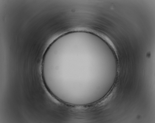 X0000102490847200808081054