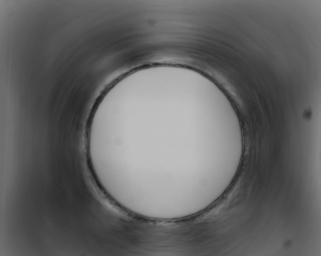 X0000102490848200808081054