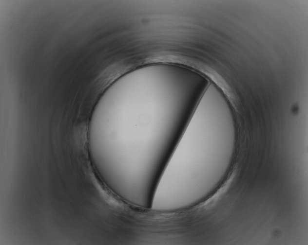 X0000102490849200808081054