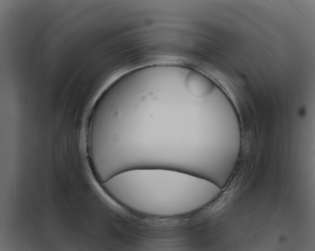 X0000102490851200808081054