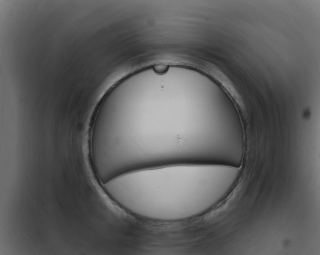 X0000102490853200808081054