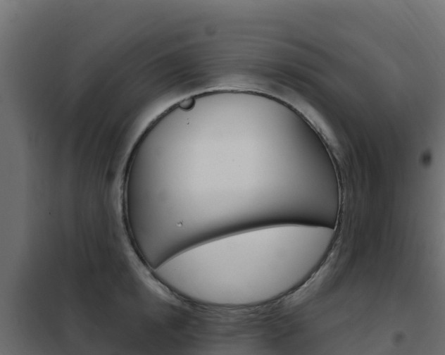 X0000102490854200808081054