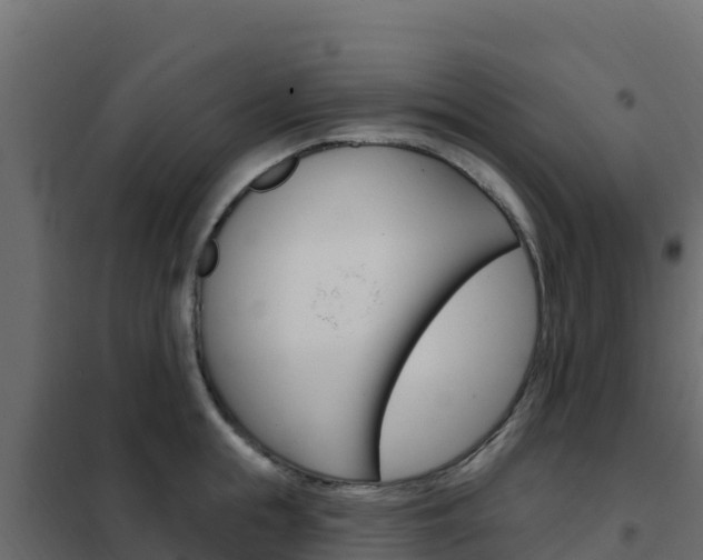 X0000102490855200808081054