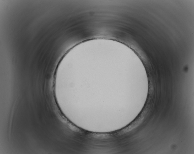 X0000102490856200808081054