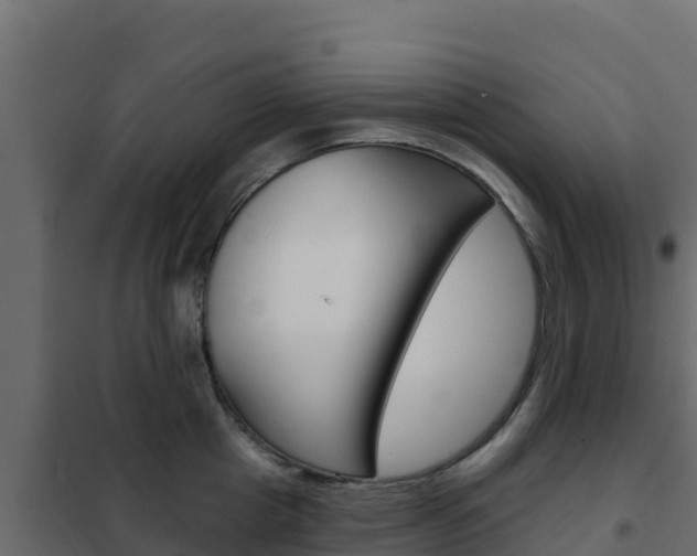 X0000102490857200808081054